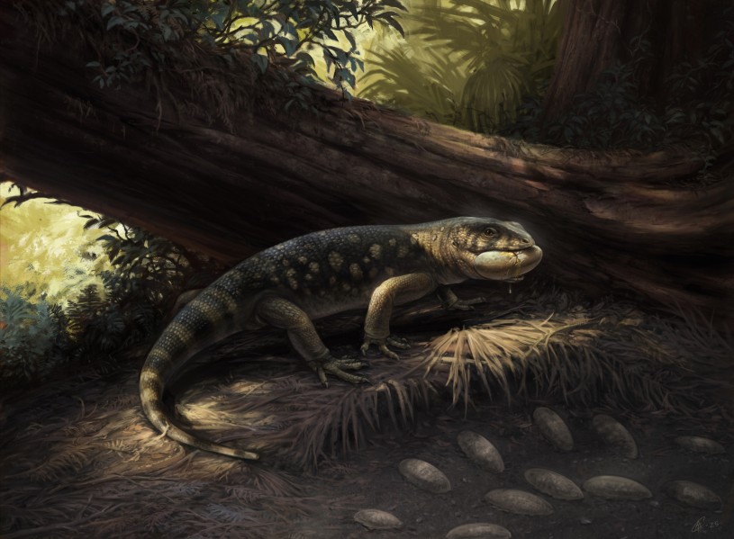 A Monster “Goblin” at the Feet of Dinosaurs | Natural